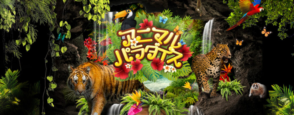 アニマルパラダイス